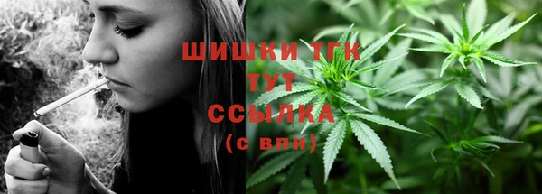 шишки Аркадак
