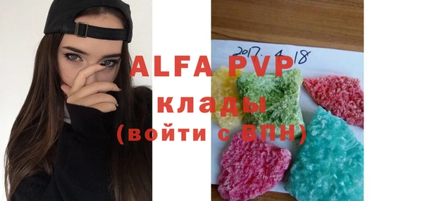 шишки Аркадак