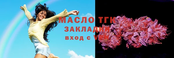 шишки Аркадак