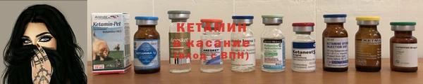 шишки Аркадак