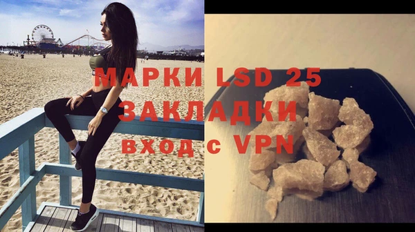 шишки Аркадак