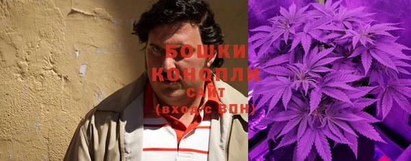 шишки Аркадак